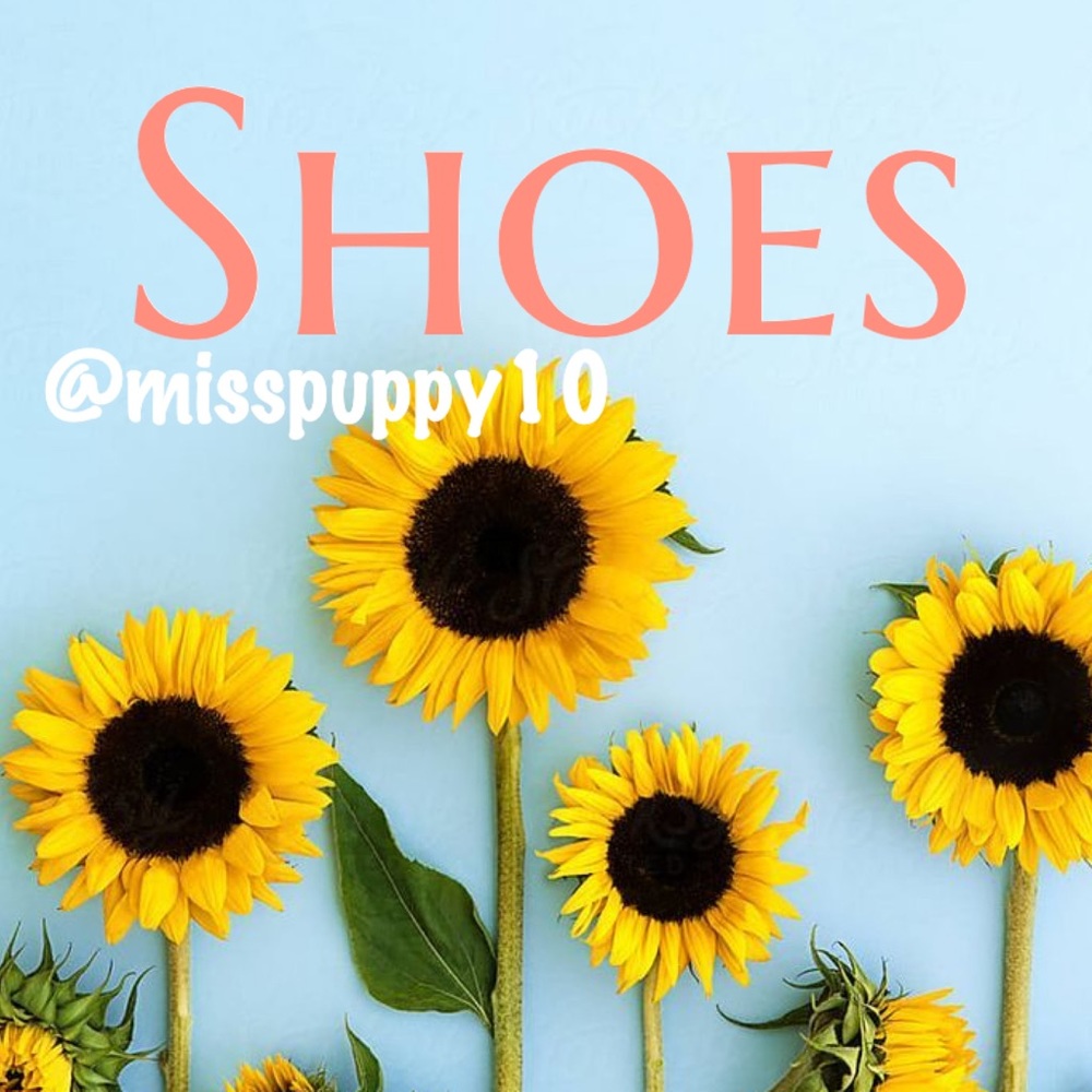 🌻🌻🌻🌻🌻